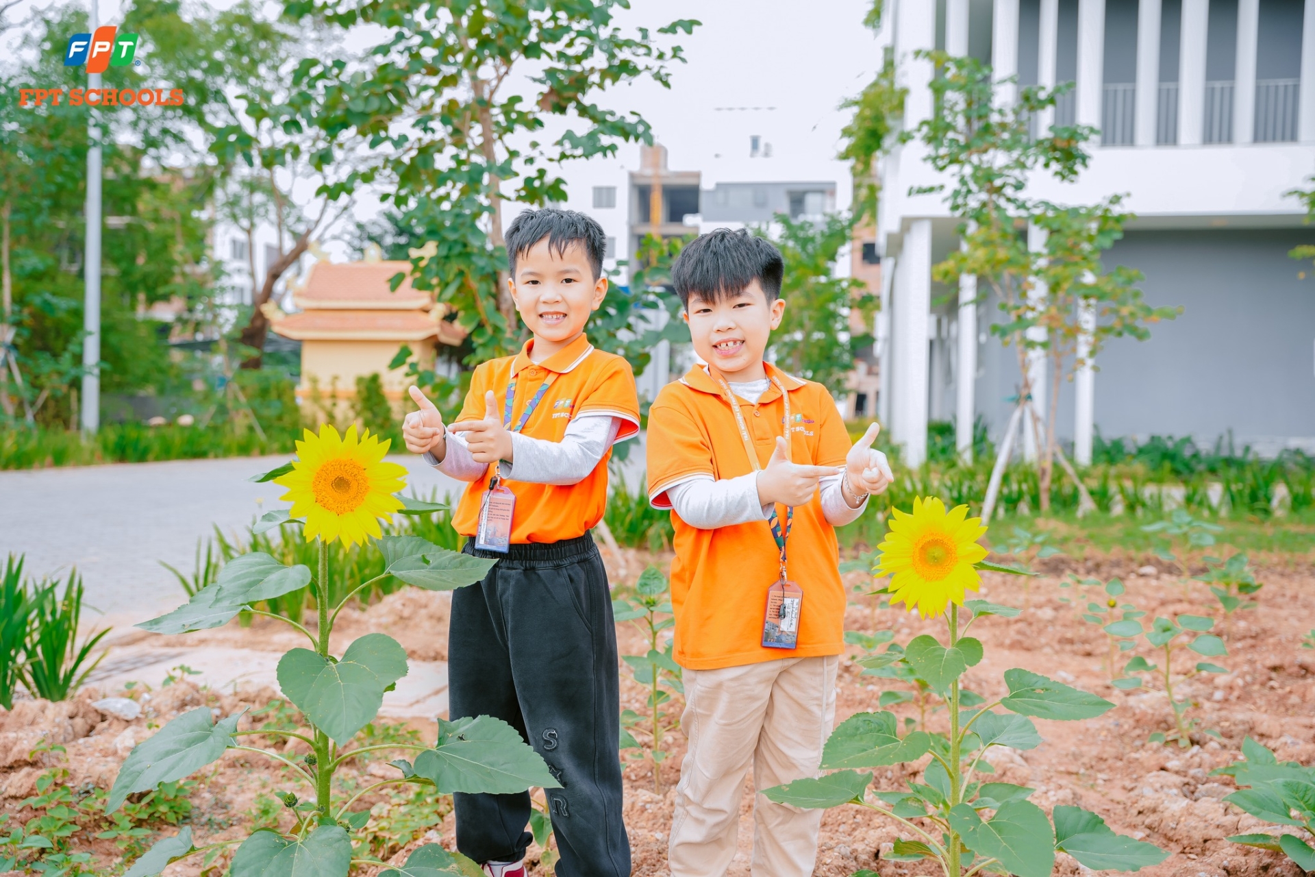 Học sinh Nhà F bắt đầu hành trình chăm sóc những luống rau xanh tại Vườn sinh học