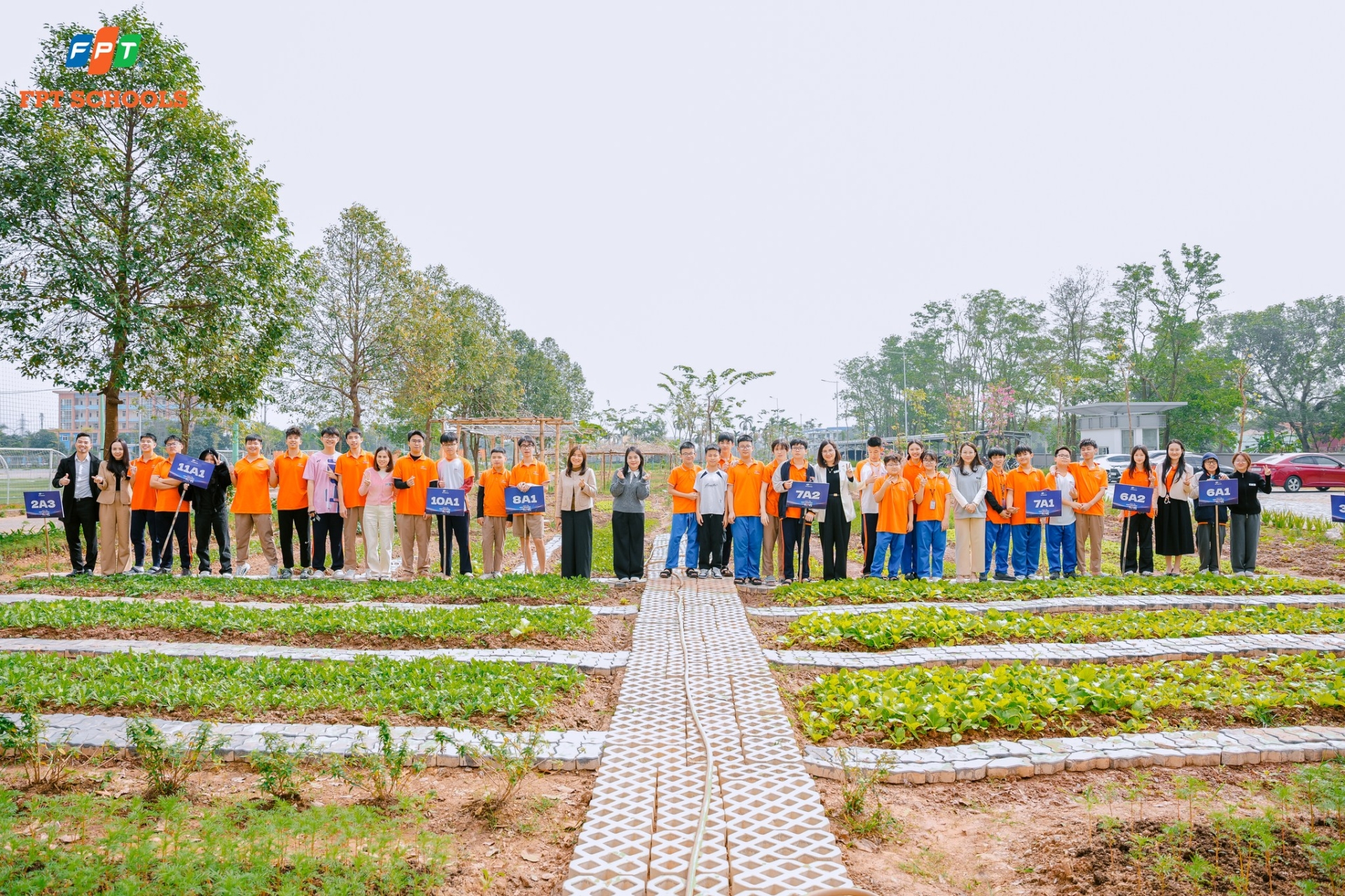 Học sinh Nhà F bắt đầu hành trình chăm sóc những luống rau xanh tại Vườn sinh học